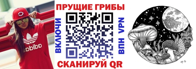 Купить закладки  Усолье-Сибирское  Псилоцибиновые грибы мицелий 